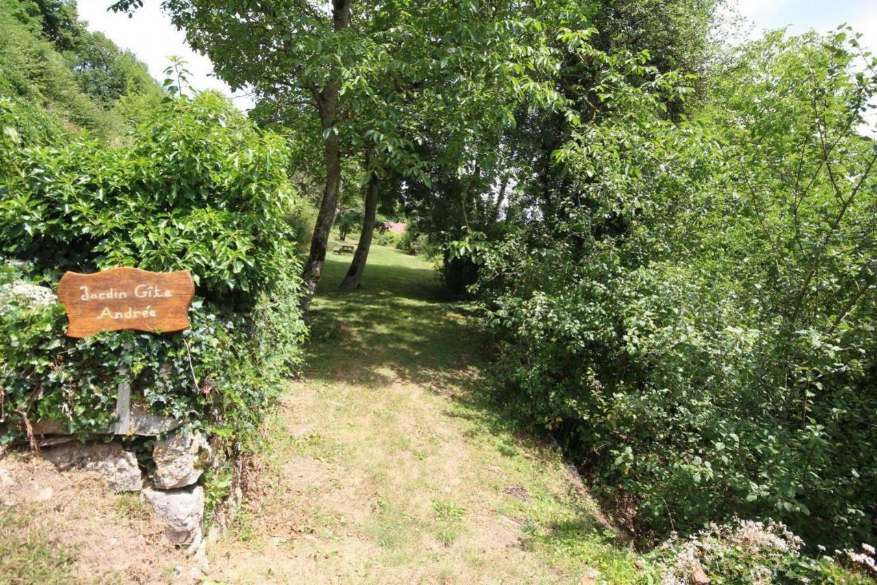 Chaudenay-le-Château Ferme D'Andreeヴィラ エクステリア 写真